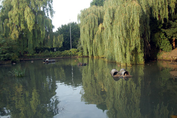 Clifton Pond August 2009